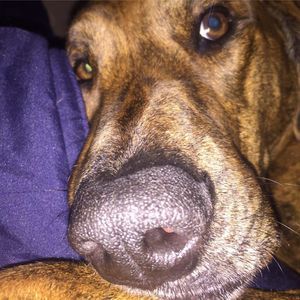 Meet your Posher, Rob